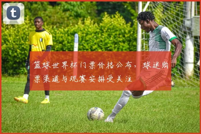 篮球世界杯门票价格公布,球迷购票渠道与观赛安排受关注